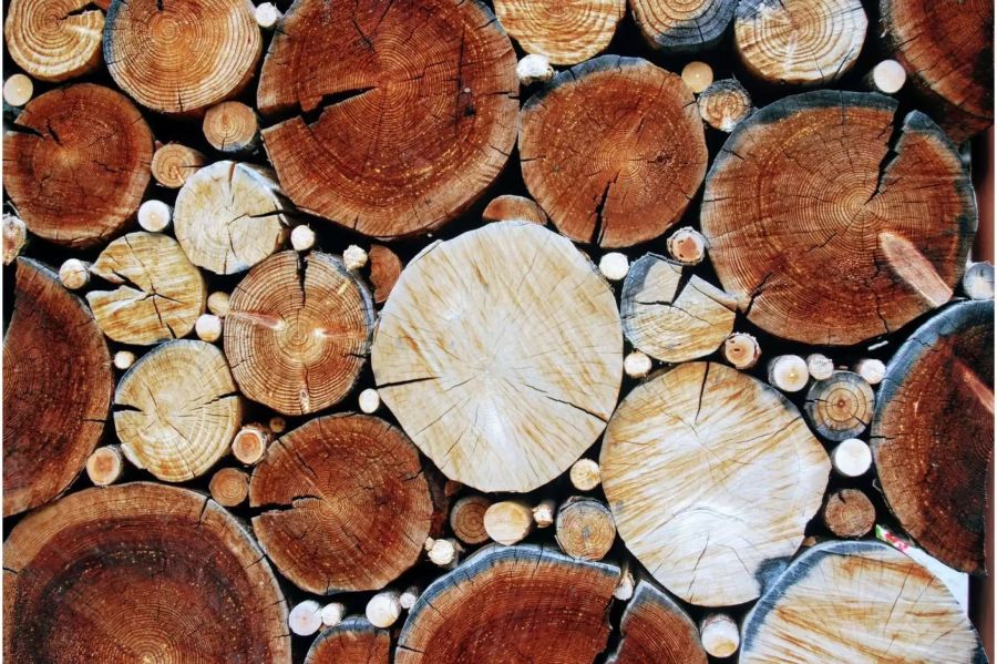 Holz könnte zukünftig Stahl als ökologische Alternative ersetzen. Bild: pixabay