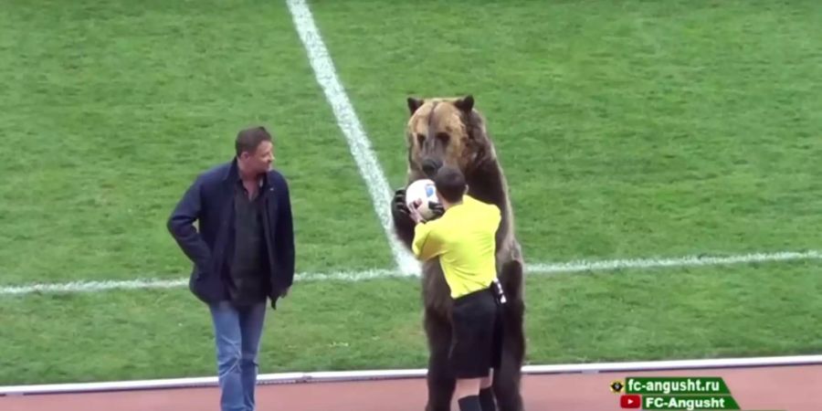 Der Bär Tim übergibt am Spielfeldrand dem Schiedsrichter das Spielgerät.