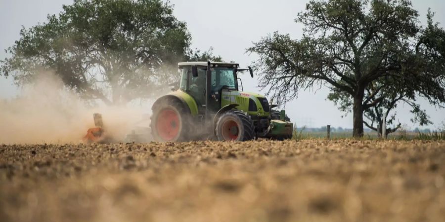 Landwirt Traktor