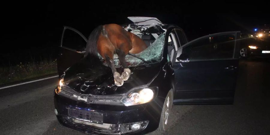 Ein Pferd ist bei einem Verkehrsunfall durch die Windschutzscheibe eines Autos gekracht und verendet