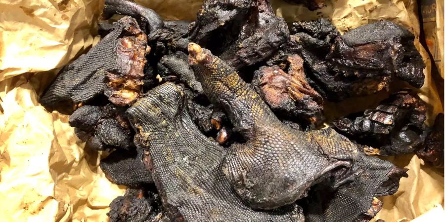 Undatierte Aufnahme von am Flughafen Zürich sichergestelltem Bushmeat.