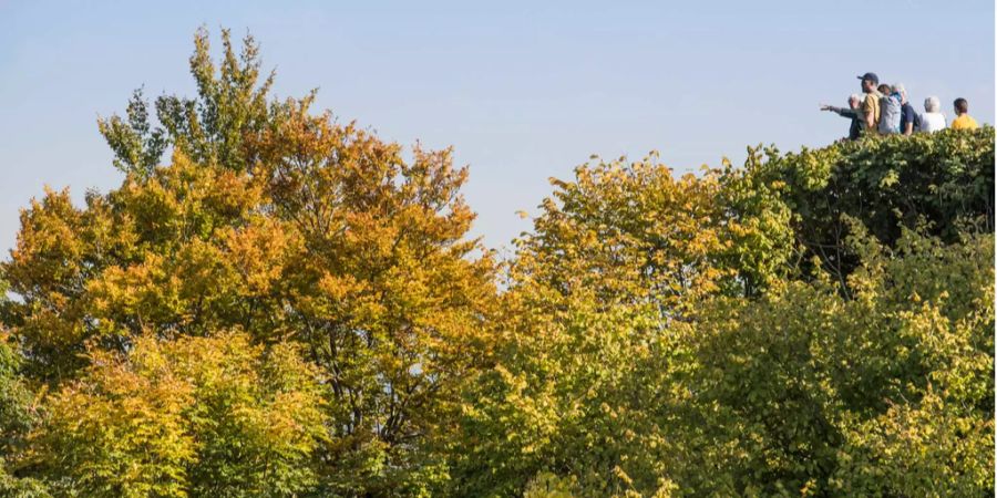 Menschen geniessen das herrliche Herbstwetter auf dem Uetliberg.