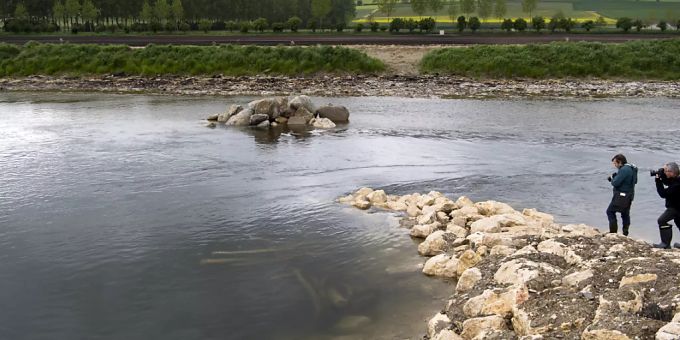 Ein unregelmässiges Ufer und künstliche Inseln sollen zu Flussabschnitten mit unterschiedlich starken Strömungen führen. Biodiversität