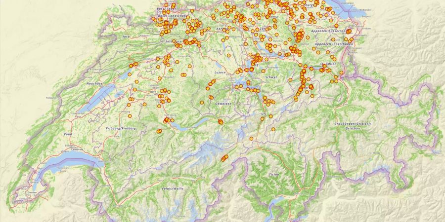 Sucht man auf der Plattform Ortsnamen nach der Endung «-ingen», so findet man die Orte, die auf alemannische Sippen zurückgehen. Es sind allerdings auch einige unechte «-ingen» dabei, und die Daten aus dem Kanton Wallis sind noch nicht erfasst. Screenshot: ortsnamen.ch