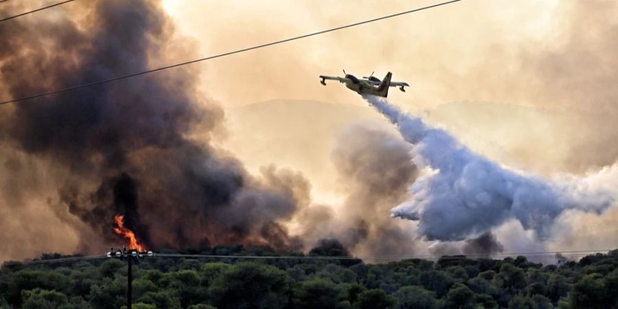 waldbrand