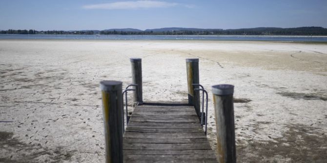 Dürre am Untersee