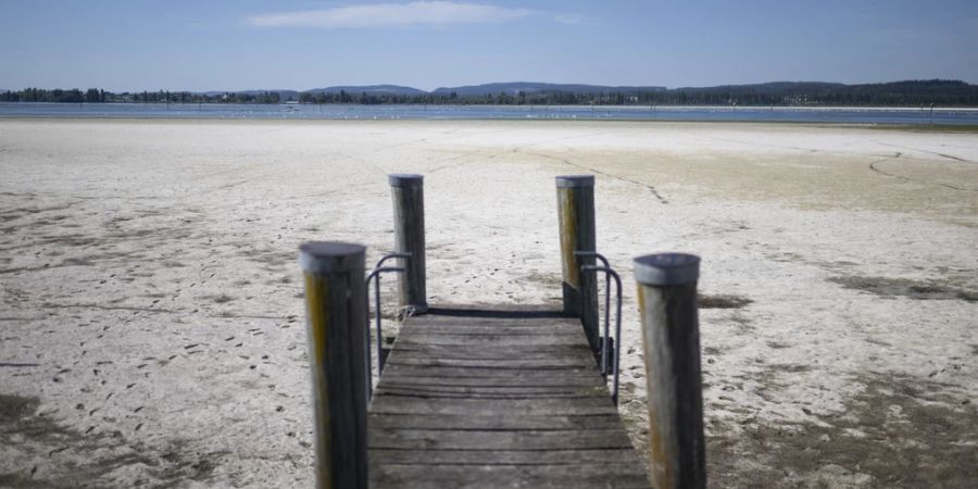 Dürre am Untersee