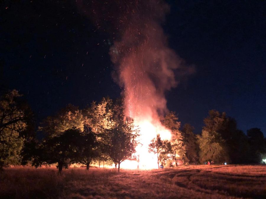 Auch ein Baum neben dem Bienenhäuschen geriet in Brand.