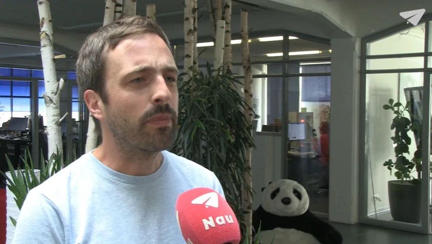 zh-wwf-einzeln