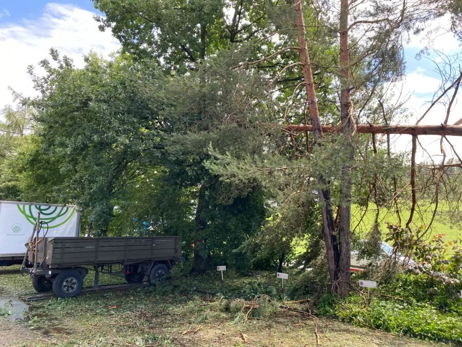 Bäume stürzten beim Unwetter um.