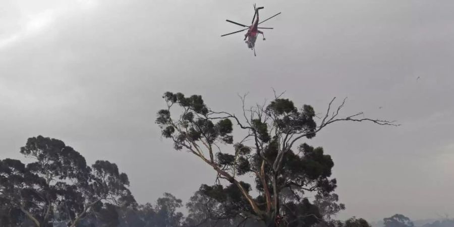 Ein Löschhubschrauber fliegt über Bäume vor rauchverhangenem Himmel im Vorort Bundoora von Melbourne. Foto: Julian Smith/AAP/dpa