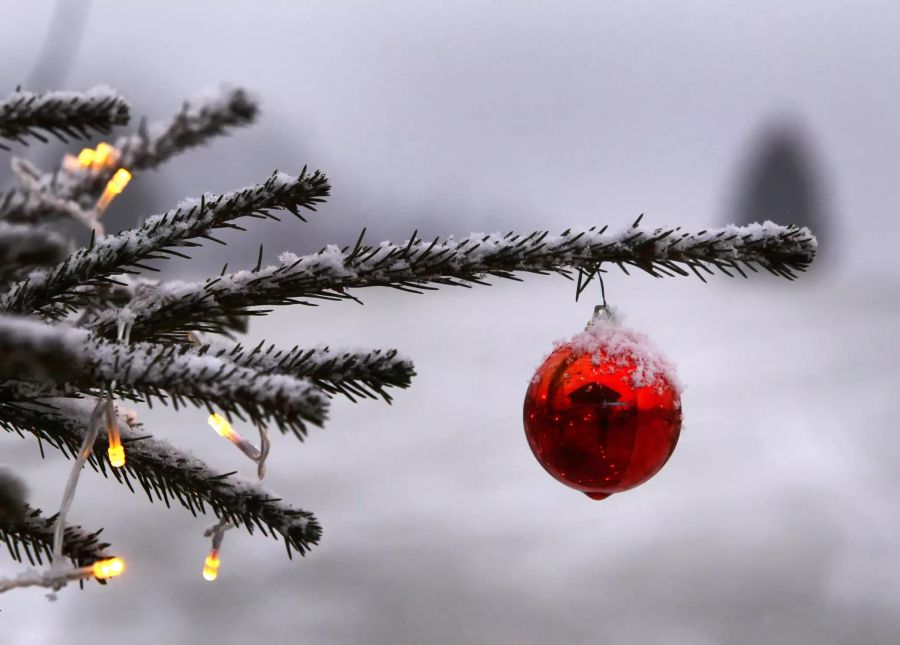 Weihnachtsbaum im Schnee