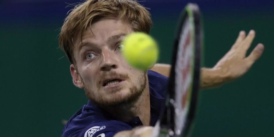 David Goffin