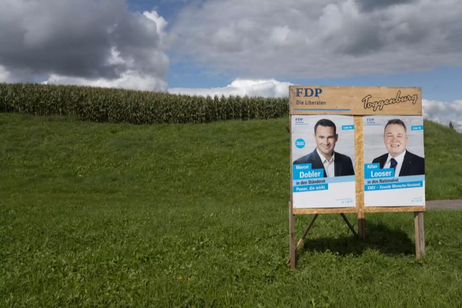 FDP Wahlplakate