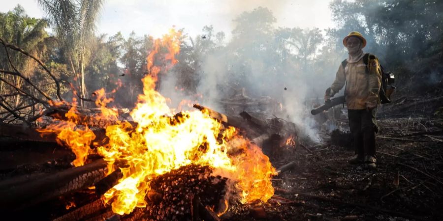 amazonien feuerwehrmann flammen