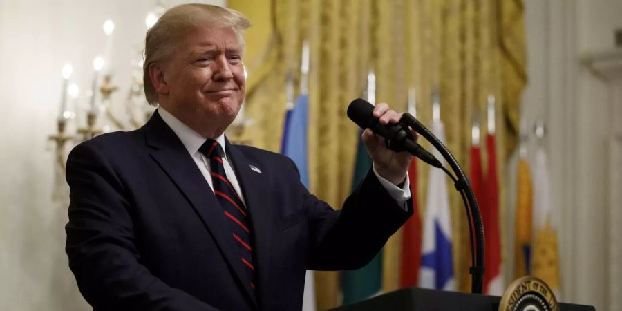 trump sachsen anhalt