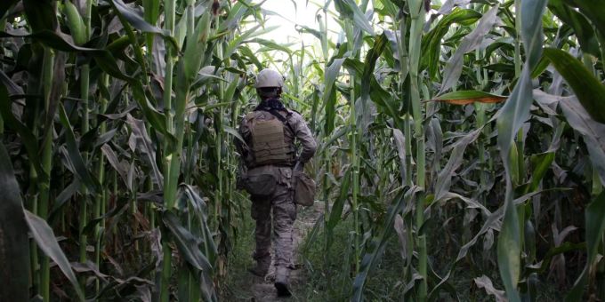Taliban-Überfall - Mindestens 20 Soldaten in Nordafghanistan getötet
