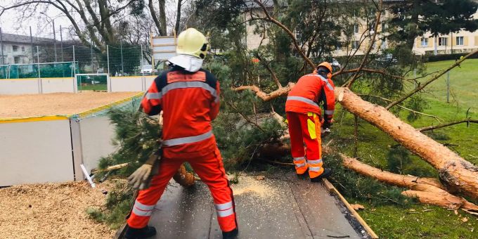 Schutz und Rettung Zürich im Einsatz, nach dem ein Baum wegen des Sturms «Luis» umgefallen ist. Sturm Luis