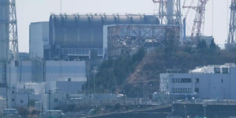 Das Atomkraftwerk Fukushima Daiichi