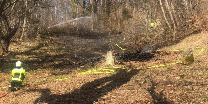 Flächenbrand in Arth SZ Arth Flächenbrand