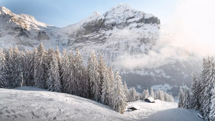 Winterlandschaft in Grindelwald