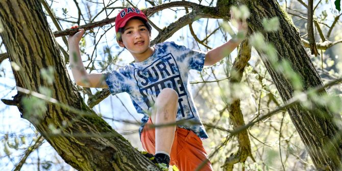 Kind Junge Baum klettern Sommer