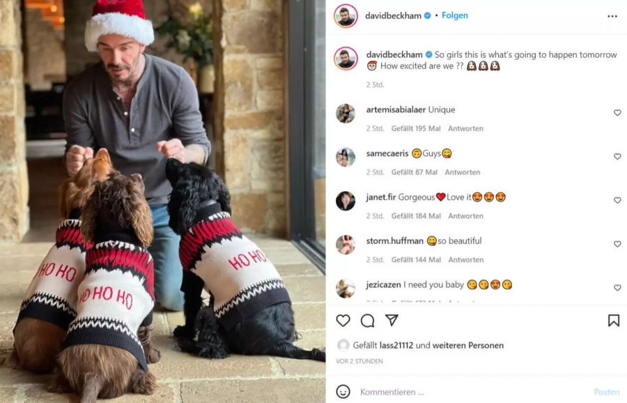 David Beckham feiert mit seinen drei Hunden.