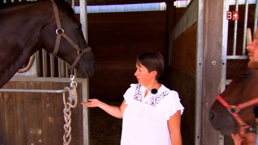 Nathalie will Lukas für das Reiten begeistern.