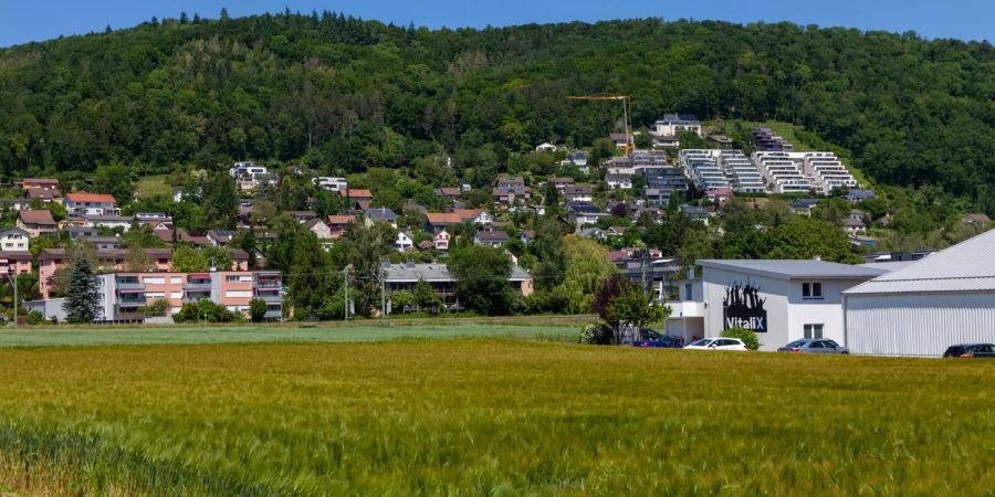 Aussicht über die Gemeinde Beringen.