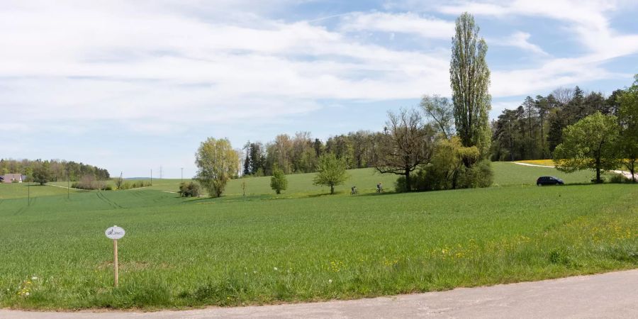 Landwirtschaftszone am Ziegelhuettenweg in Anwil.