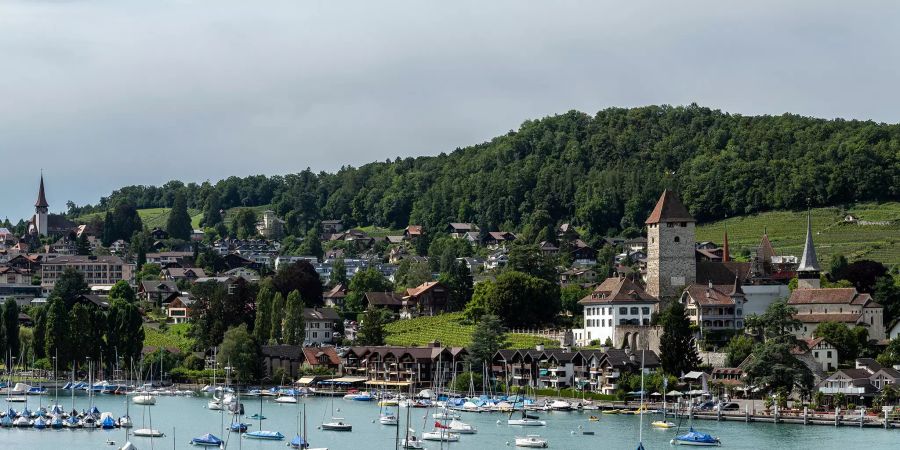 Die Spiezer Bucht mit Segelbooten auf dem Thunersee.