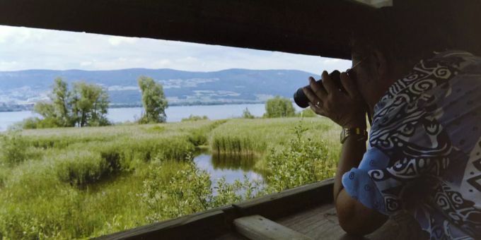 Ein Mann beobachtet ein Naturschutzgebiet (Symbolbild). Yverdon Les Bains