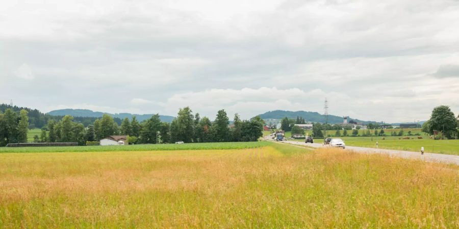 Ackerfelder und rechts die Niederbürenstrasse bei Niederbüren Flawil.