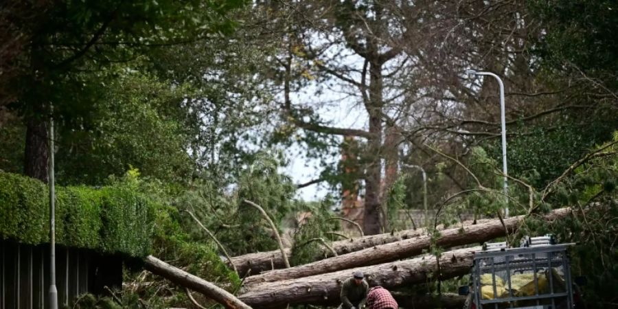 Storm Arwen brought down trees and power lines, cutting off tens of thousands of people in Scotland and northern England