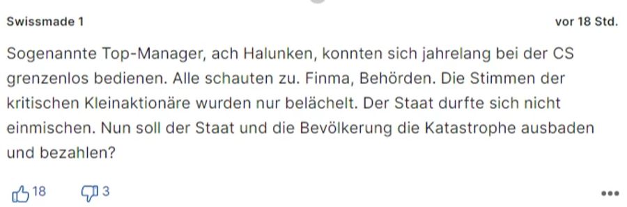 «Swissmade 1» findet es ungerecht, dass «die Bevölkerung die Katastrophe ausbaden soll».
