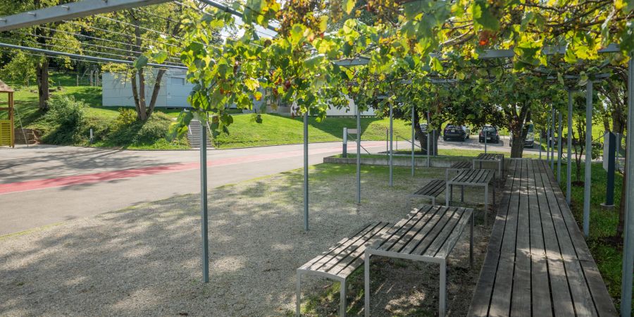 Der Pausenhof der Schule Winkel. - Region Bülach