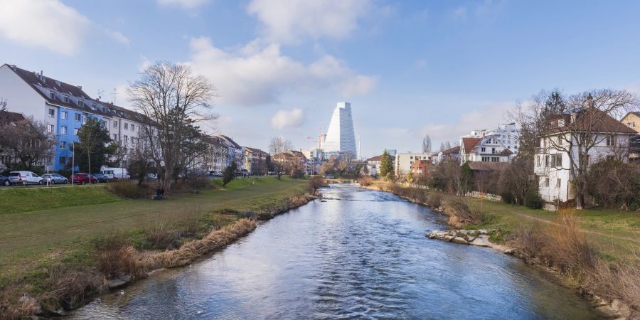 Die Birs gibt der Gemeinde Birsfelden ihren Namen und bildet hier die Grenze zwischen den Halbkantonen Basel-Stadt und Baselland. Wenige hundert Meter flussabwärts fliesst die Birs in den Rhein.