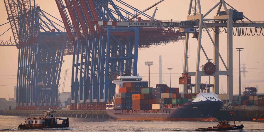 Am Hamburger Hafen werden verschiedene Güter umgeschlagen. Die deutsche Wirtschaft ist schwach ins neue Jahr gestartet.