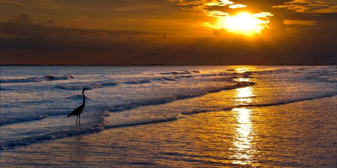 Florida-Touristen können nach Hurrikan «Ian» nun wieder den Sonnenuntergang an den Stränden um Fort Myers herum geniessen. Florida-Touristen können nach Hurrikan «Ian» nun wieder den Sonnenuntergang an den Stränden um Fort Myers herum geniessen.