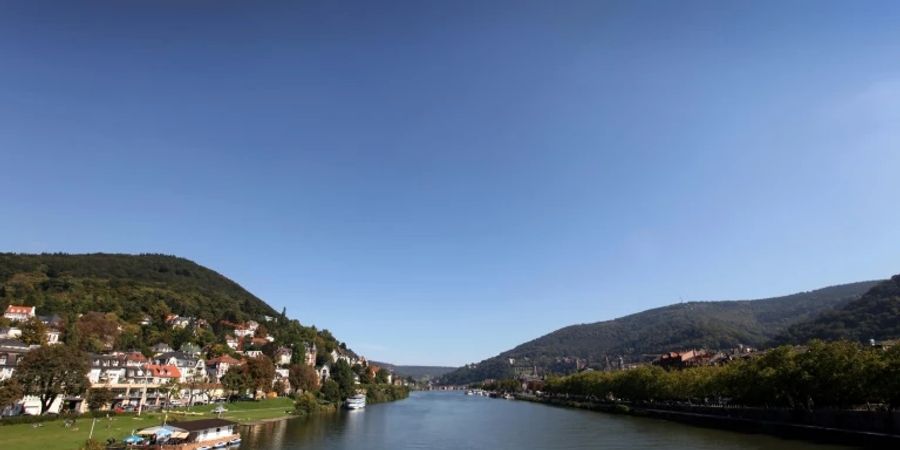 Blick auf Heidelberg