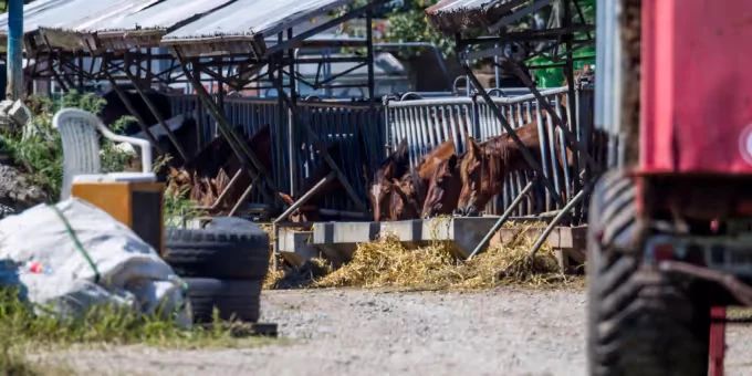 Kein Knast - Hefenhofen-Bauer erhält bedingte Freiheitsstrafe