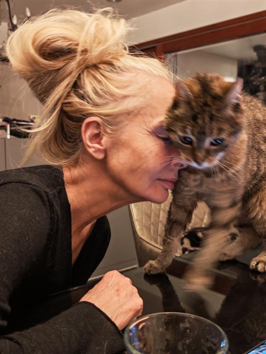 «Die Katze wog nur noch zwei Kilo», sagt Sibylle Wettstein.