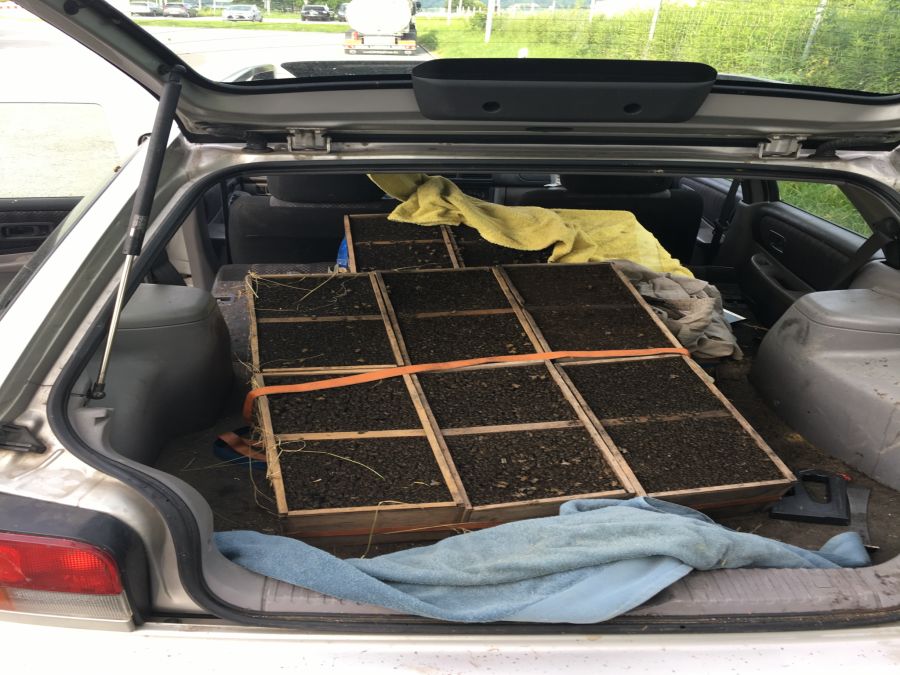 Einen ungewöhnlichen Schmuggelfall deckten Mitarbeitende des BAZG im Juni 2019 in St. Margrethen auf. Ein Deutscher versuchte, zwölf Bienenvölker unangemeldet in die Schweiz einzuführen.