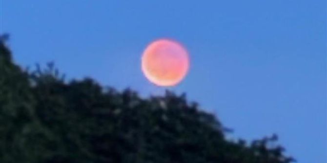 Blutmond
