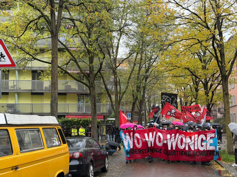 Der Demo-Umzug bei den Sugus-Häusern.