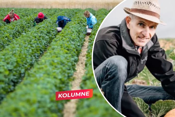 jucker kolumne