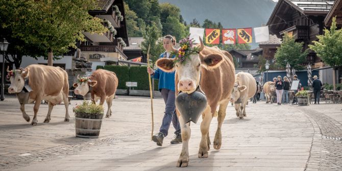 Züglete Gstaad Tradition