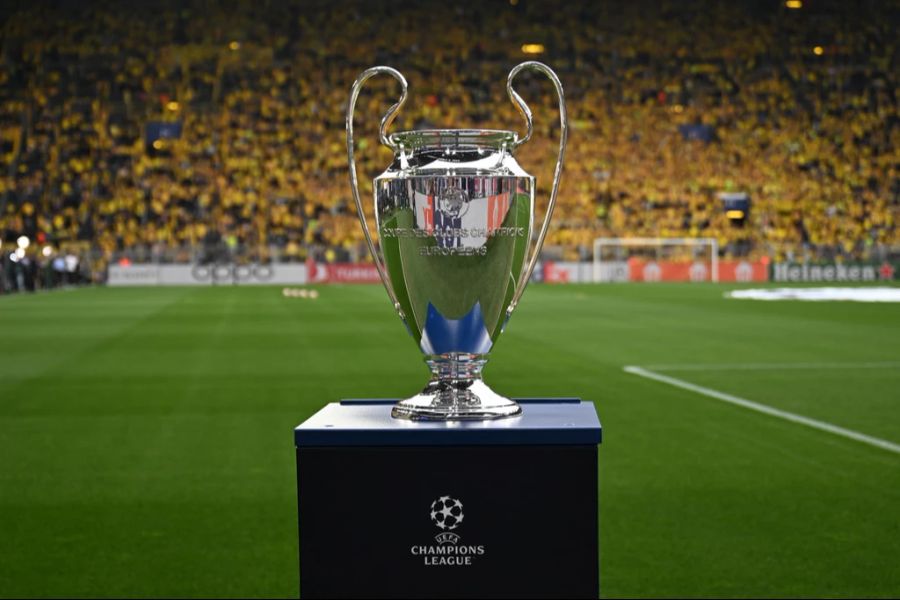 YB Champions League