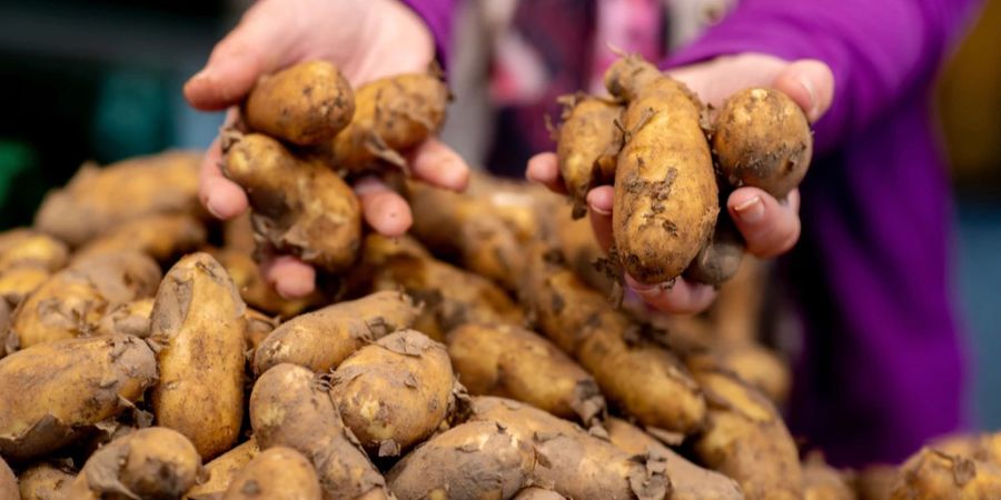 Kartoffeln sterblichkeitsrisiko