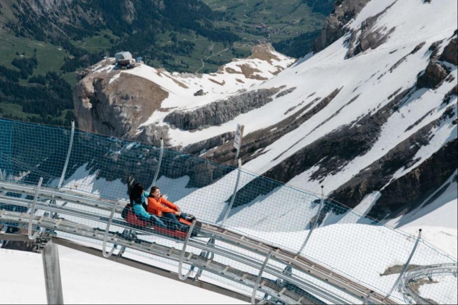 Auf dem Glacier 3000 befindet sich die höchstgelegene Rodelbahn der Welt.